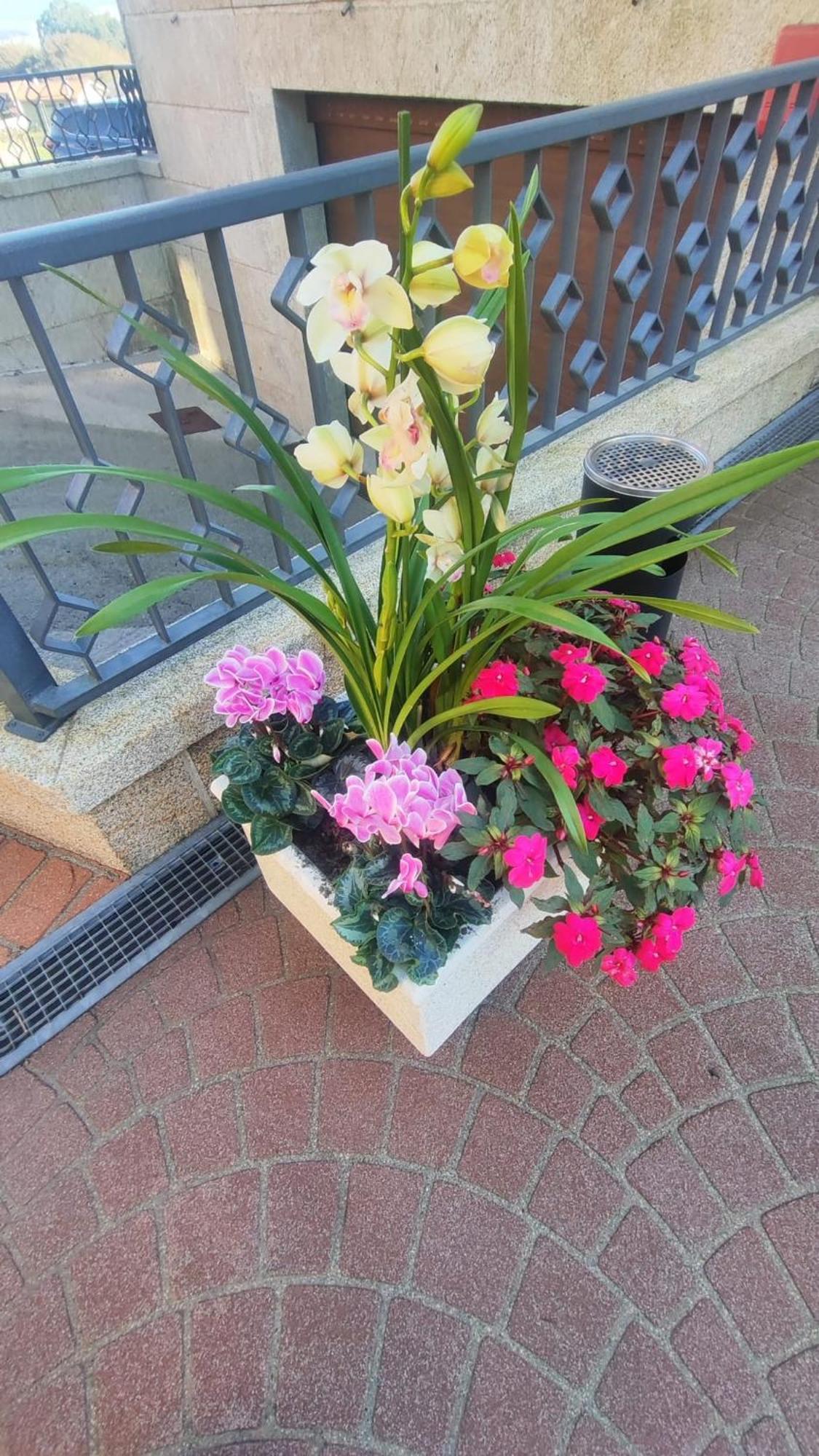 א גוארדה Hotel Apartamento Marouco מראה חיצוני תמונה